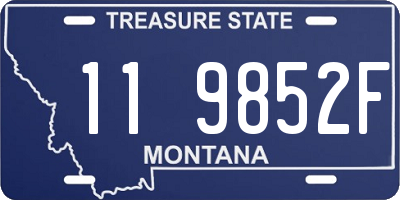 MT license plate 119852F