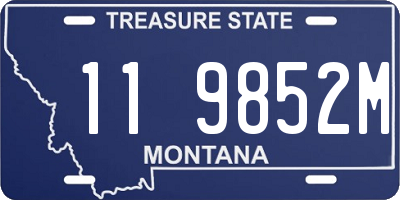 MT license plate 119852M
