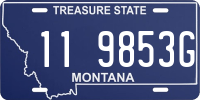 MT license plate 119853G