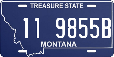 MT license plate 119855B
