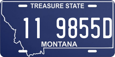 MT license plate 119855D