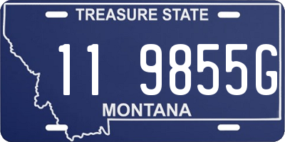 MT license plate 119855G