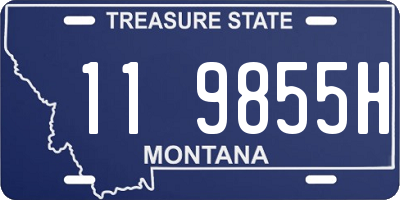 MT license plate 119855H