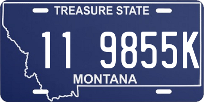 MT license plate 119855K