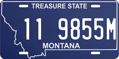 MT license plate 119855M