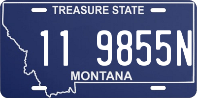 MT license plate 119855N