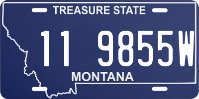 MT license plate 119855W