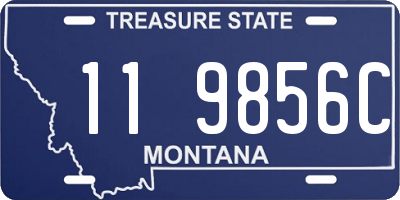 MT license plate 119856C