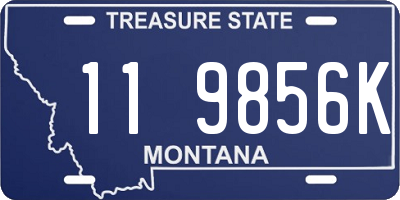 MT license plate 119856K