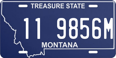 MT license plate 119856M