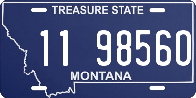 MT license plate 119856O