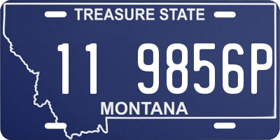 MT license plate 119856P