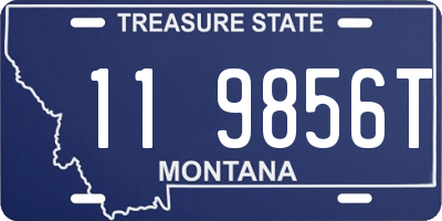 MT license plate 119856T