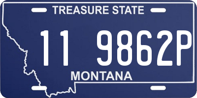 MT license plate 119862P