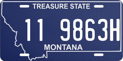 MT license plate 119863H