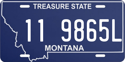 MT license plate 119865L