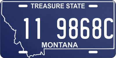 MT license plate 119868C