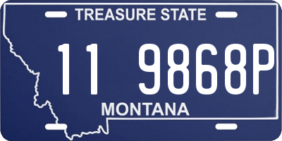 MT license plate 119868P