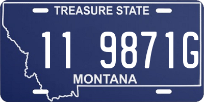 MT license plate 119871G