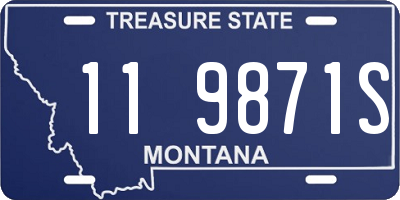 MT license plate 119871S