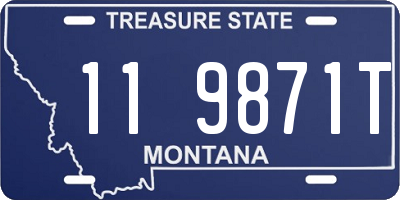 MT license plate 119871T