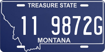 MT license plate 119872G