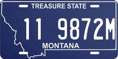 MT license plate 119872M