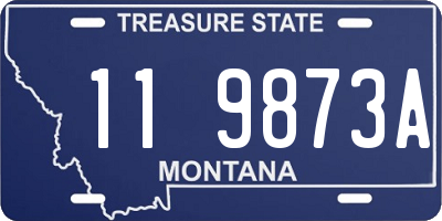 MT license plate 119873A