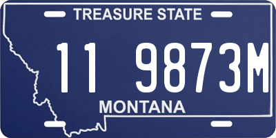 MT license plate 119873M