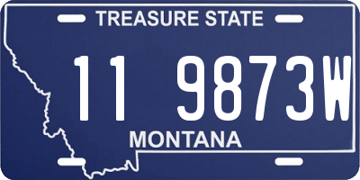 MT license plate 119873W