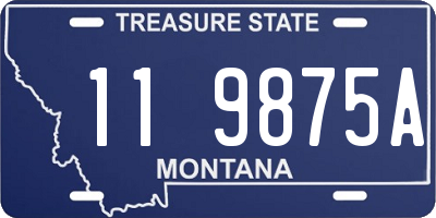 MT license plate 119875A