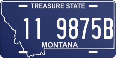 MT license plate 119875B
