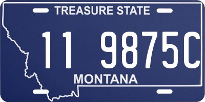 MT license plate 119875C