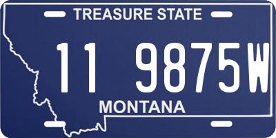 MT license plate 119875W