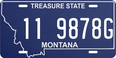 MT license plate 119878G