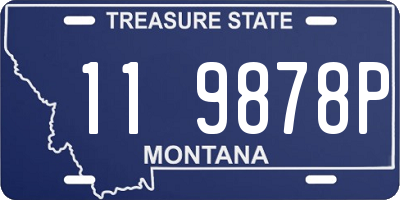 MT license plate 119878P