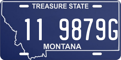 MT license plate 119879G