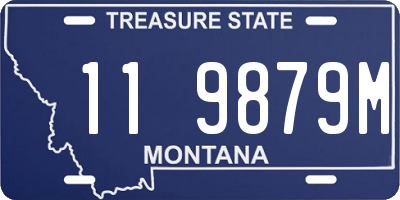 MT license plate 119879M