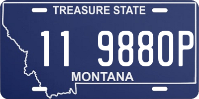 MT license plate 119880P