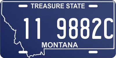 MT license plate 119882C