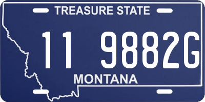 MT license plate 119882G