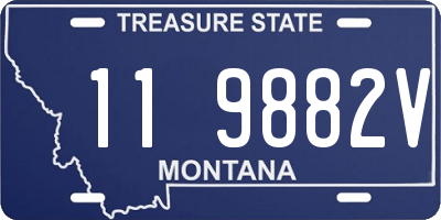 MT license plate 119882V