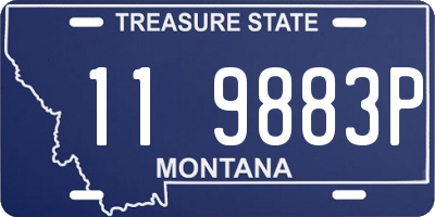 MT license plate 119883P