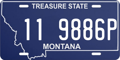MT license plate 119886P