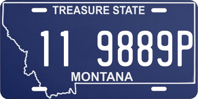 MT license plate 119889P