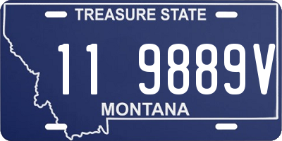 MT license plate 119889V