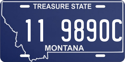 MT license plate 119890C
