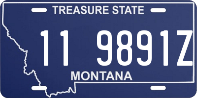 MT license plate 119891Z