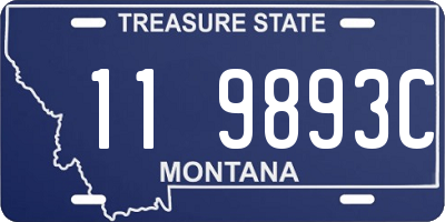 MT license plate 119893C