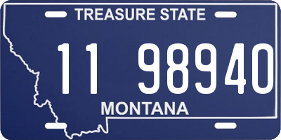 MT license plate 119894O
